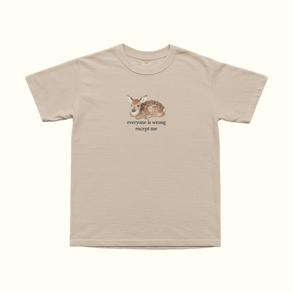 white oversized graphic t shirt with cute baby deer illustration and everyone is wrong except me text funny sarcastic quote tee aesthetic animal shirt ironic statement top soft girl outfit coquette woodland aesthetic vintage inspired graphic tee minimalist fashion casual streetwear comfy everyday outfit introvert humor shirt delusional confidence main character energy gift for her birthday gift trendy y2k aesthetic tee