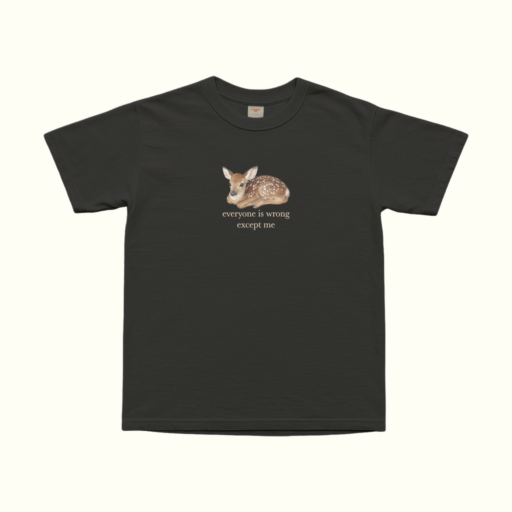 white oversized graphic t shirt with cute baby deer illustration and everyone is wrong except me text funny sarcastic quote tee aesthetic animal shirt ironic statement top soft girl outfit coquette woodland aesthetic vintage inspired graphic tee minimalist fashion casual streetwear comfy everyday outfit introvert humor shirt delusional confidence main character energy gift for her birthday gift trendy y2k aesthetic tee