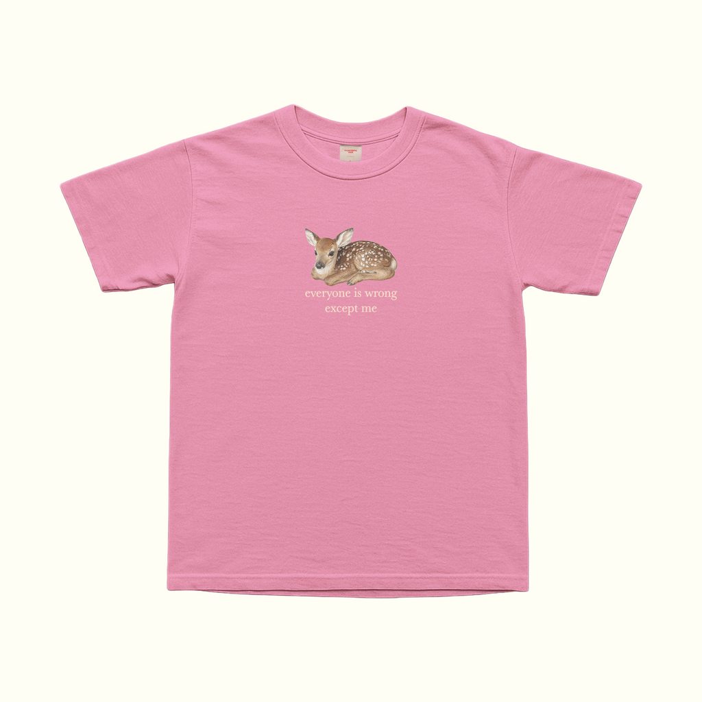 white oversized graphic t shirt with cute baby deer illustration and everyone is wrong except me text funny sarcastic quote tee aesthetic animal shirt ironic statement top soft girl outfit coquette woodland aesthetic vintage inspired graphic tee minimalist fashion casual streetwear comfy everyday outfit introvert humor shirt delusional confidence main character energy gift for her birthday gift trendy y2k aesthetic tee