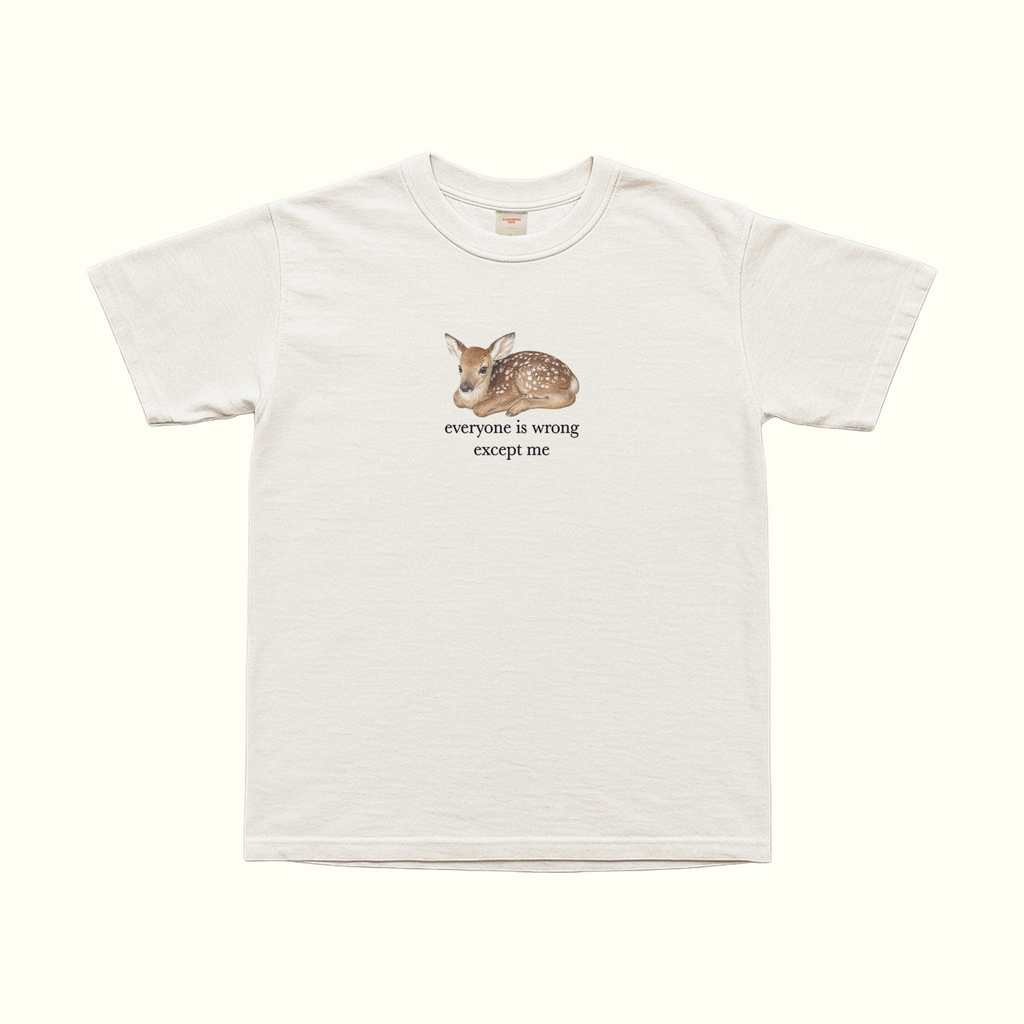 white oversized graphic t shirt with cute baby deer illustration and everyone is wrong except me text funny sarcastic quote tee aesthetic animal shirt ironic statement top soft girl outfit coquette woodland aesthetic vintage inspired graphic tee minimalist fashion casual streetwear comfy everyday outfit introvert humor shirt delusional confidence main character energy gift for her birthday gift trendy y2k aesthetic tee