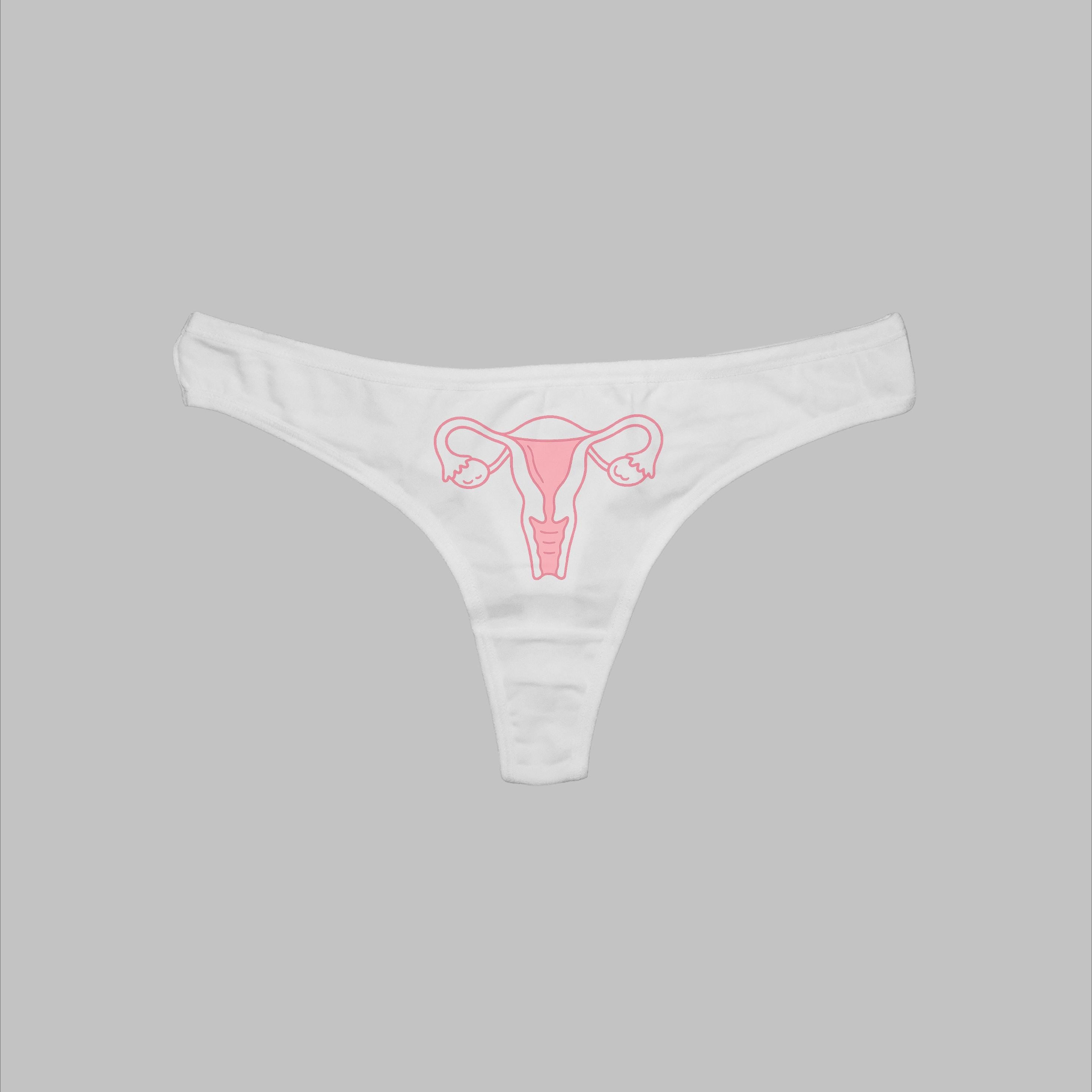 Uterus Vagina Anatomy Thong Pantie