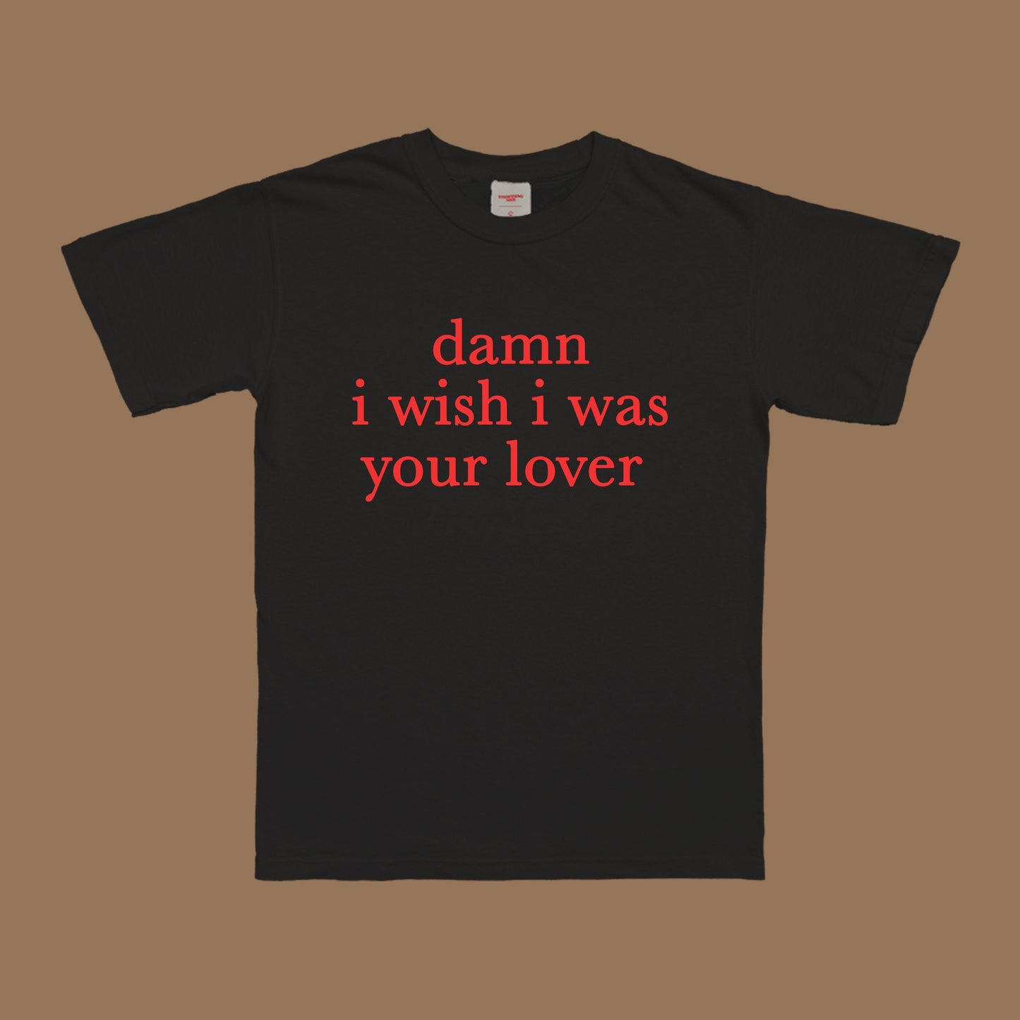 I Wish I Was Your Lover T-Shirt